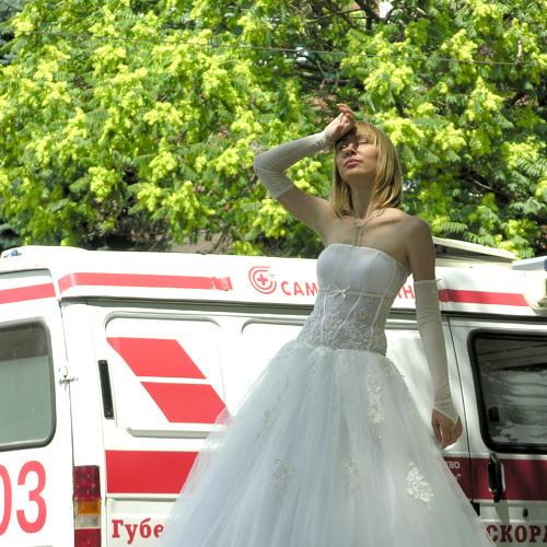 Photo #3298870