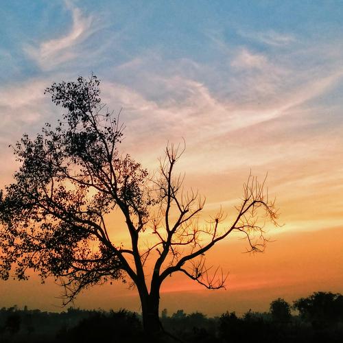 colourful sunset