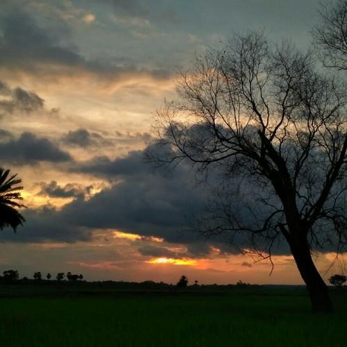 GOLDEN ENDING