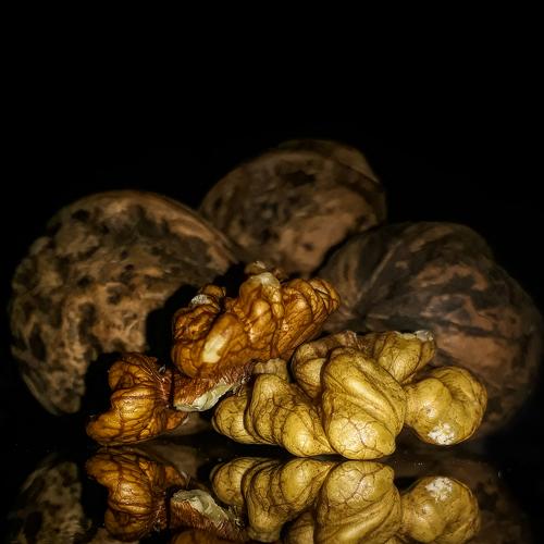 Walnut