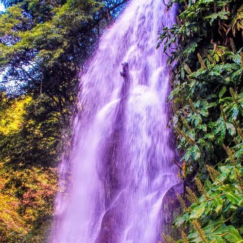 fresh water