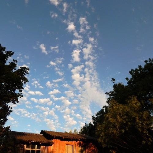 Photo #3299586