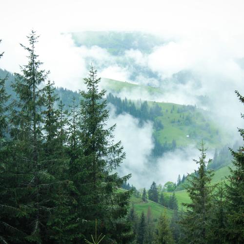 Photo #3299707