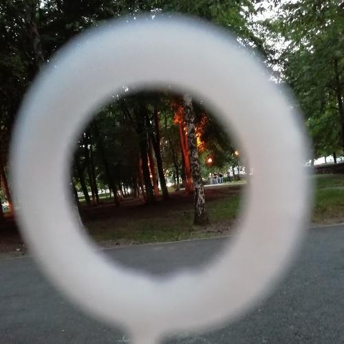 Photo #3301274