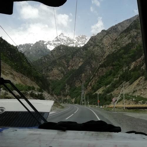 Photo #3301291