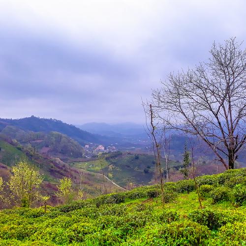 gilan iran