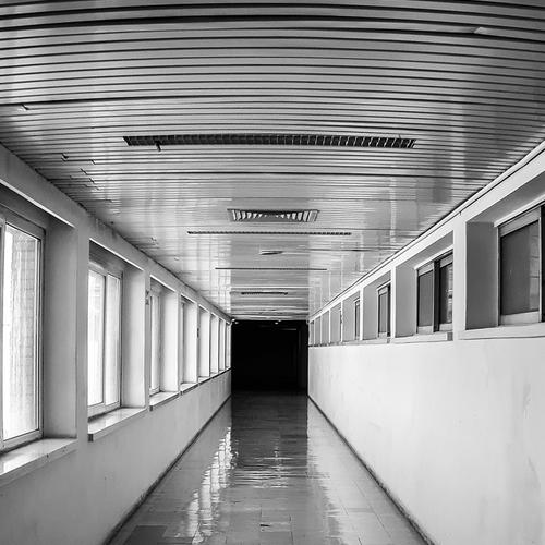 Thought Tunnel