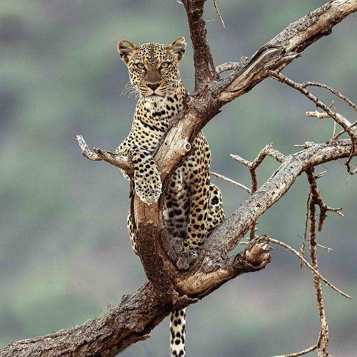 Photo #3303267