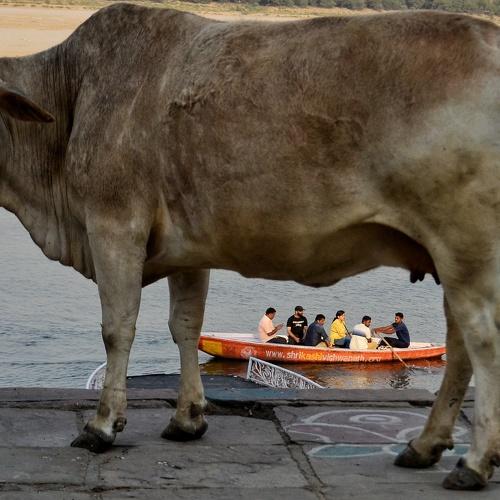 funny journey