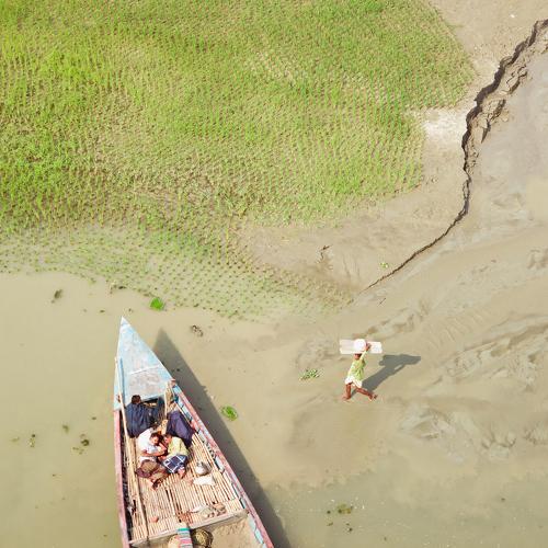 Livelihood