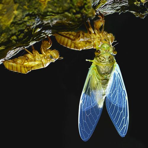Cuộc sống mới