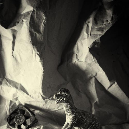 Photo #3306135
