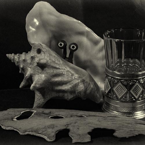 Photo #3306138