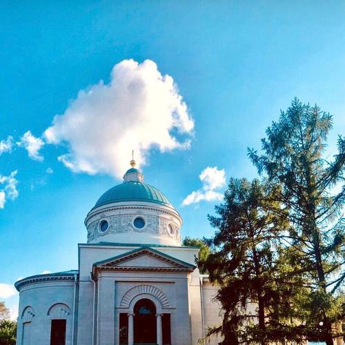 Photo #3306303