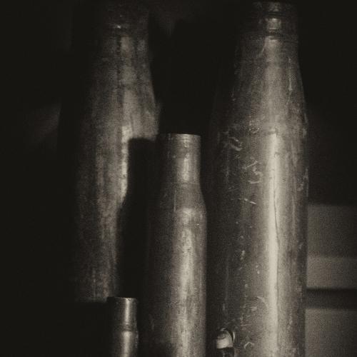 Photo #3306319