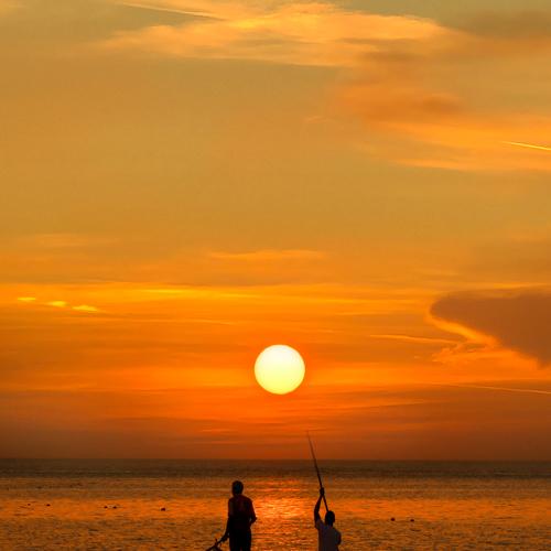 To the sun