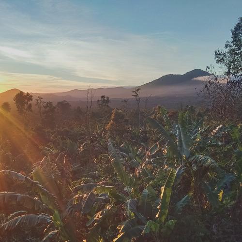 Sunrise from the mountain
