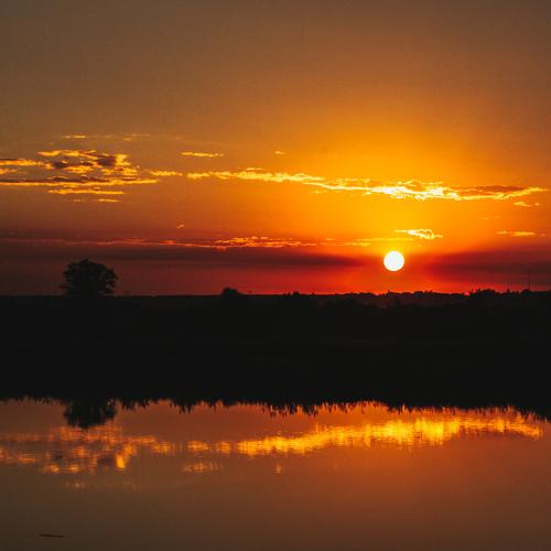 Photo #3307049