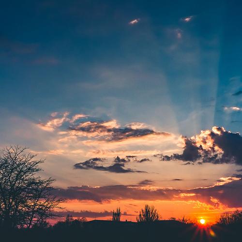 Photo #3308439