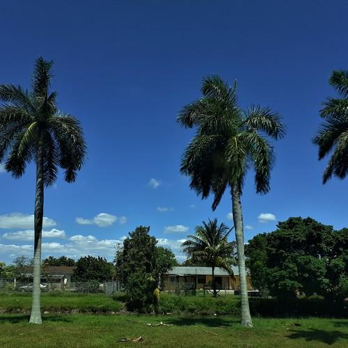 NATURE