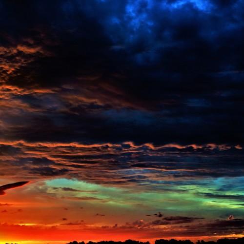 ALIEN SUNSET