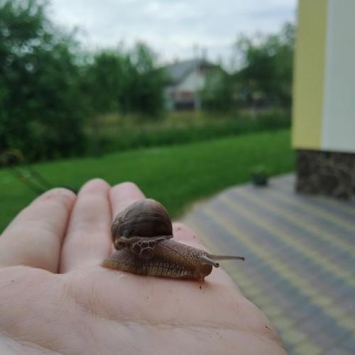 Photo #3308895