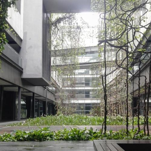 Urban Jungle