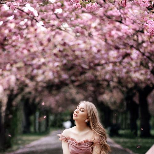 Photo #3309403