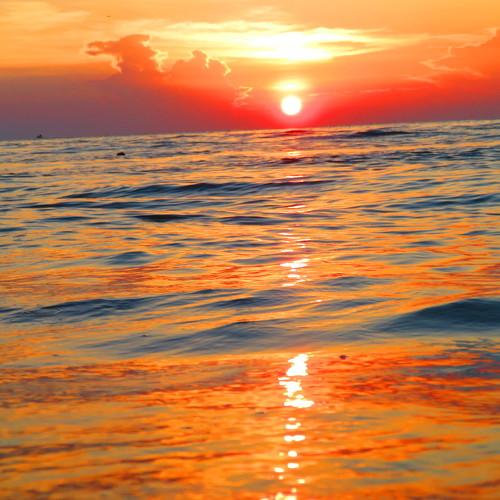Reflection Of Sunset