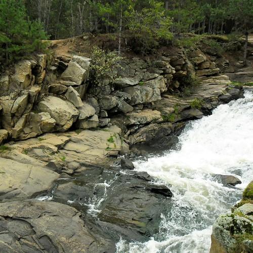 Photo #3310037