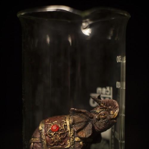 Photo #3311109