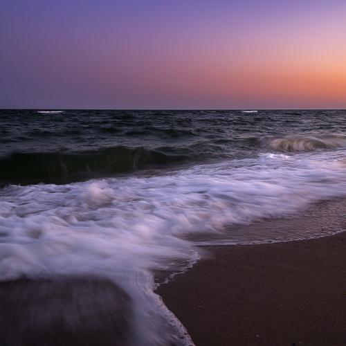 Photo #3311439