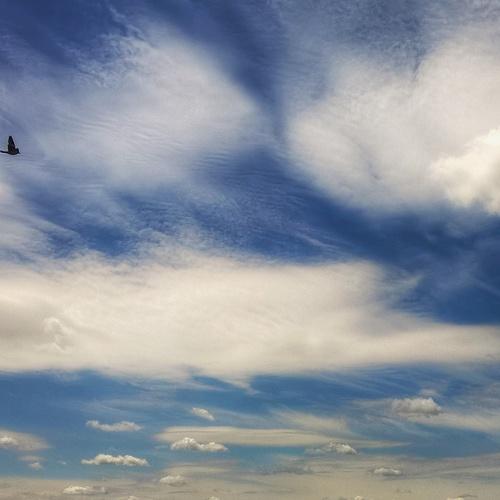 Sky