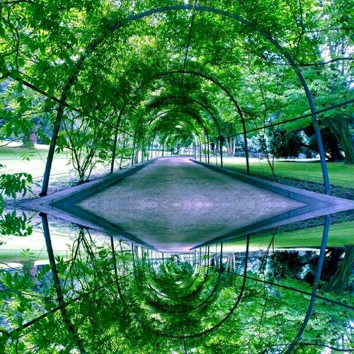 Reflections