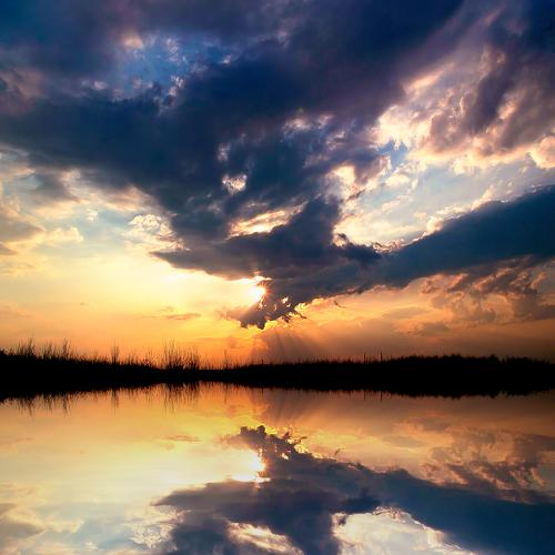 Photo #3312883