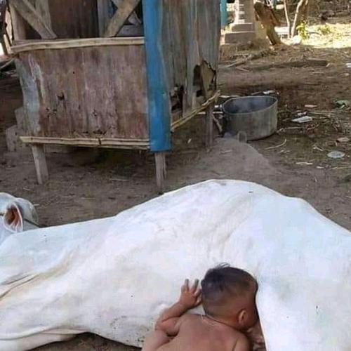 Amaizing kids