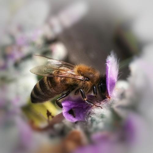Photo #3312935