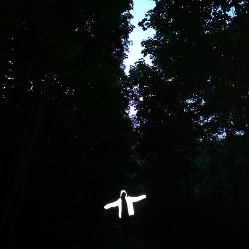 Photo #3314224