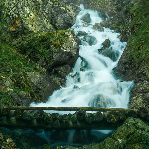 Фотография #3314656