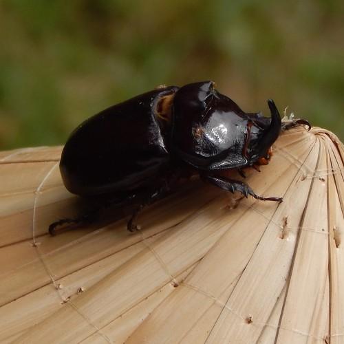 Photo #3314929