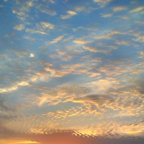 Beautiful sunset
