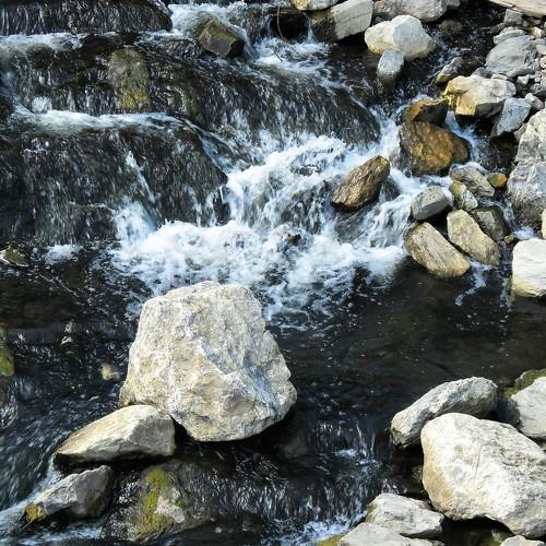 Photo #3315627