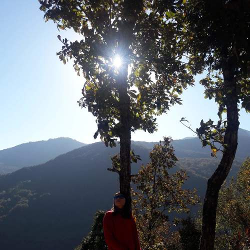 Sunshine