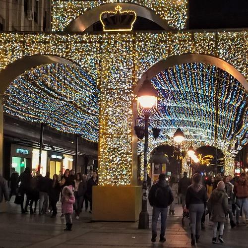 Photo #3316481