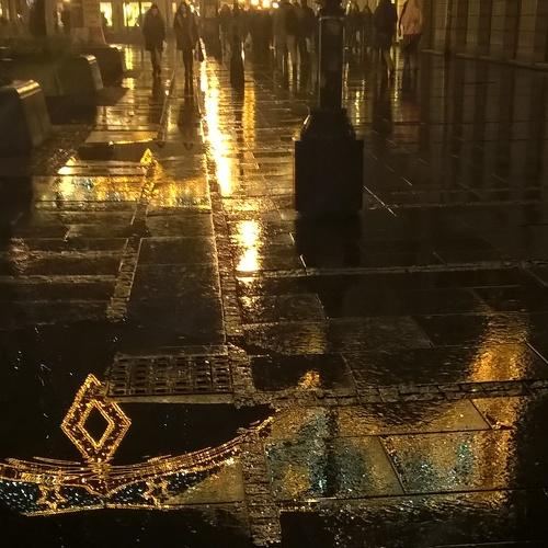 Photo #3316489