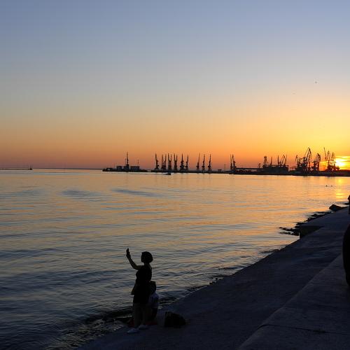 Photo #3316995