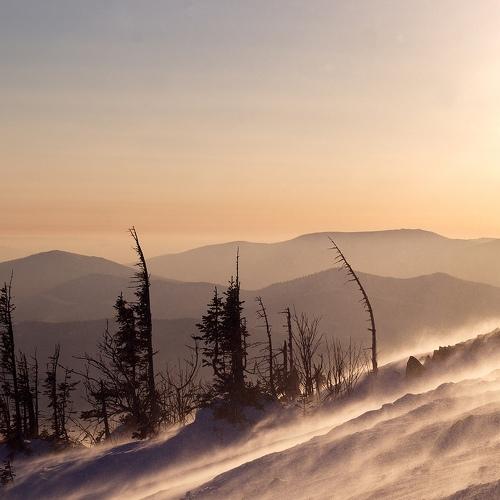 Photo #3317200