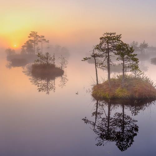Photo #3317649