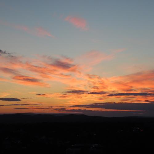 Photo #3318077