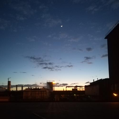 Photo #3318212